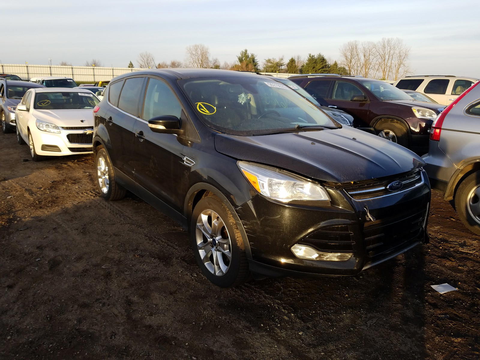 FORD ESCAPE SEL 2013 with VIN 1FMCU0HX2DUC53785 - Photo from auction