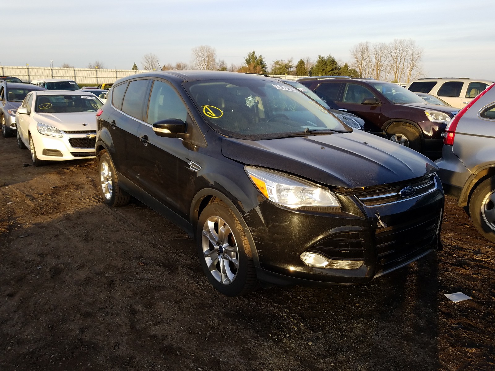 Foto 1 de la subasta – 2013 FORD ESCAPE SEL con VIN 1FMCU0HX2DUC53785