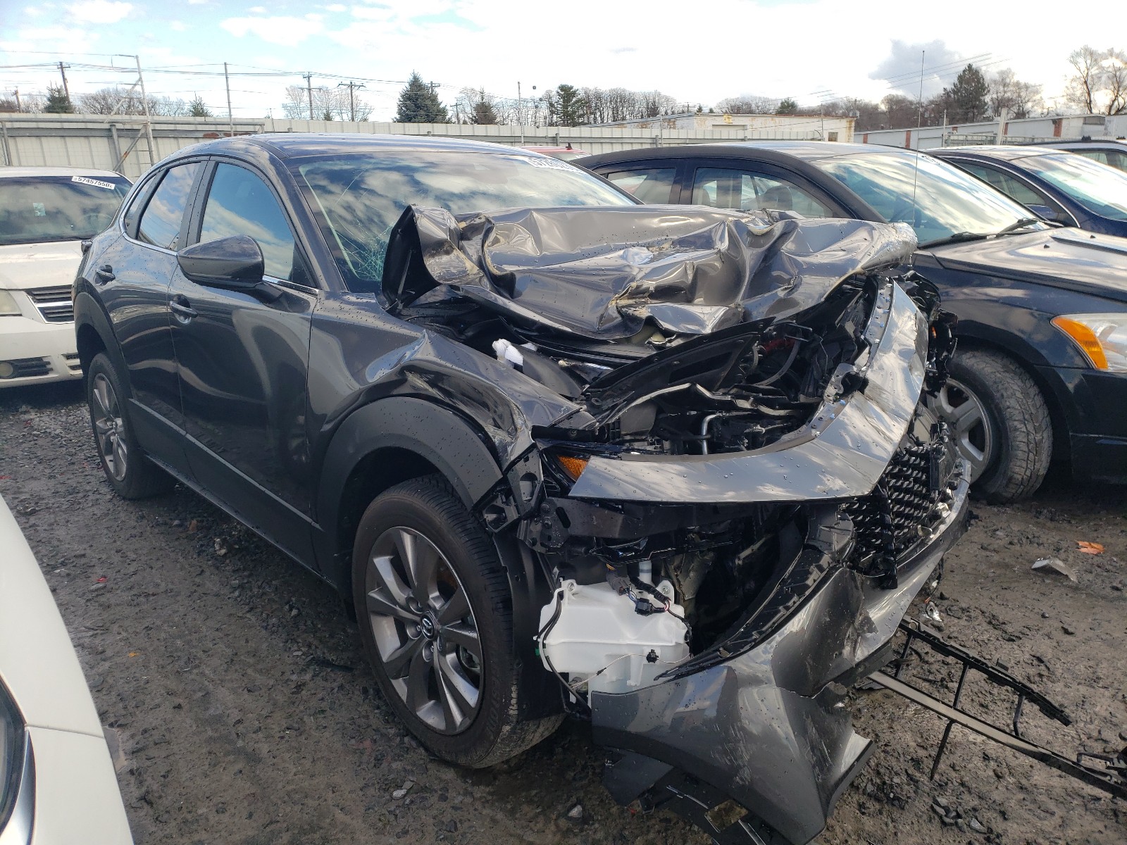 MAZDA CX-30 PREF 2020 with VIN 3MVDMBDL0LM125733 - Photo from auction