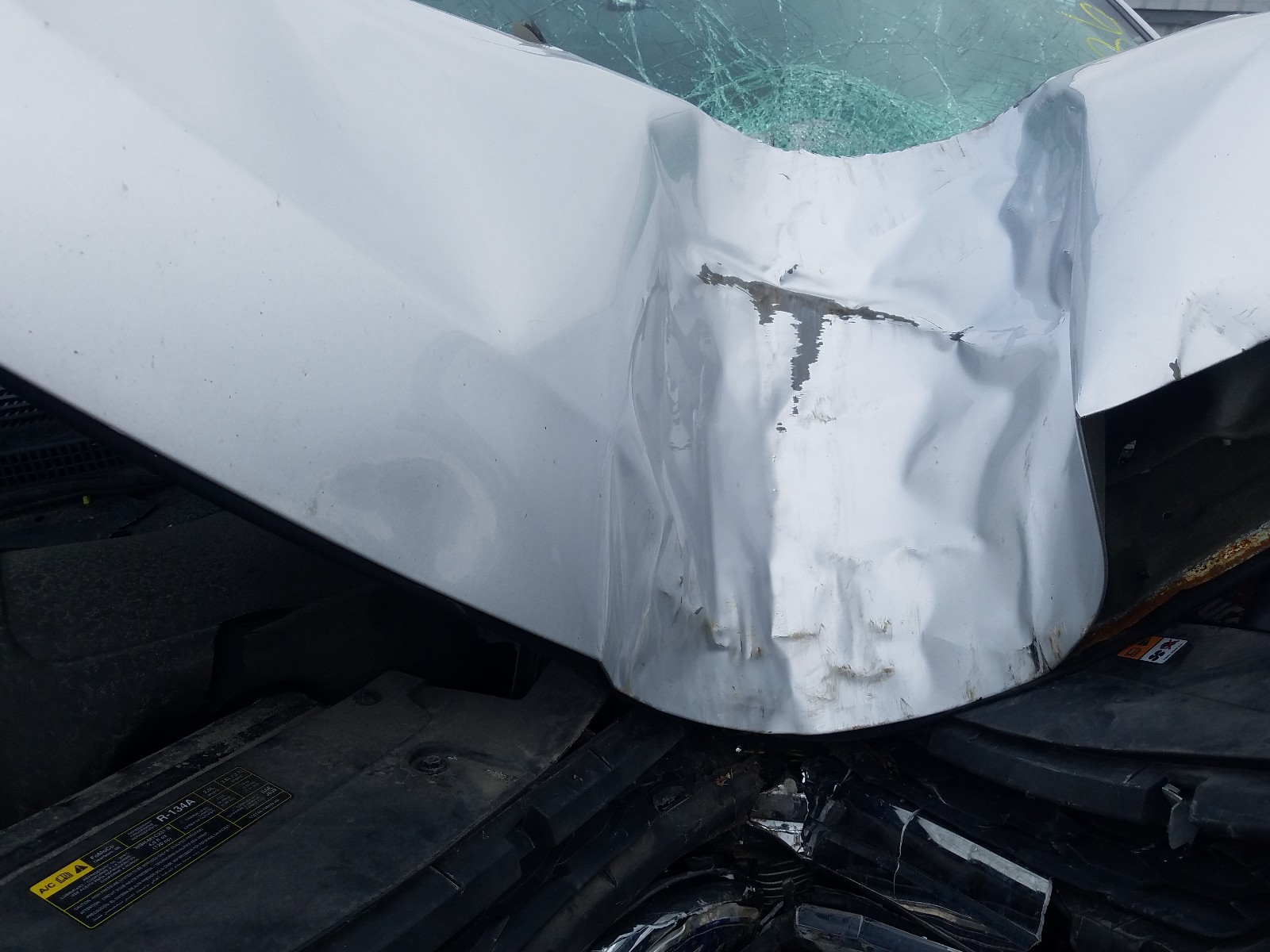 Фото 7 с аукциона – 2014 FORD EDGE SEL с VIN 2FMDK3JC3EBA15521