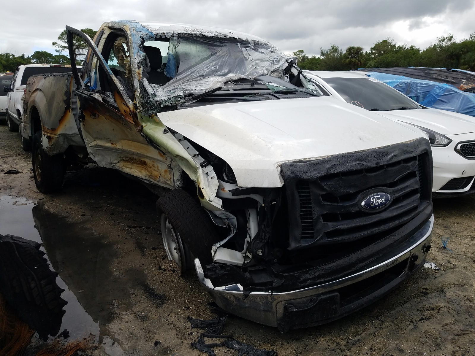 FORD F150 2012 with VIN 1FTMF1CM2CFA10020 - Photo from auction