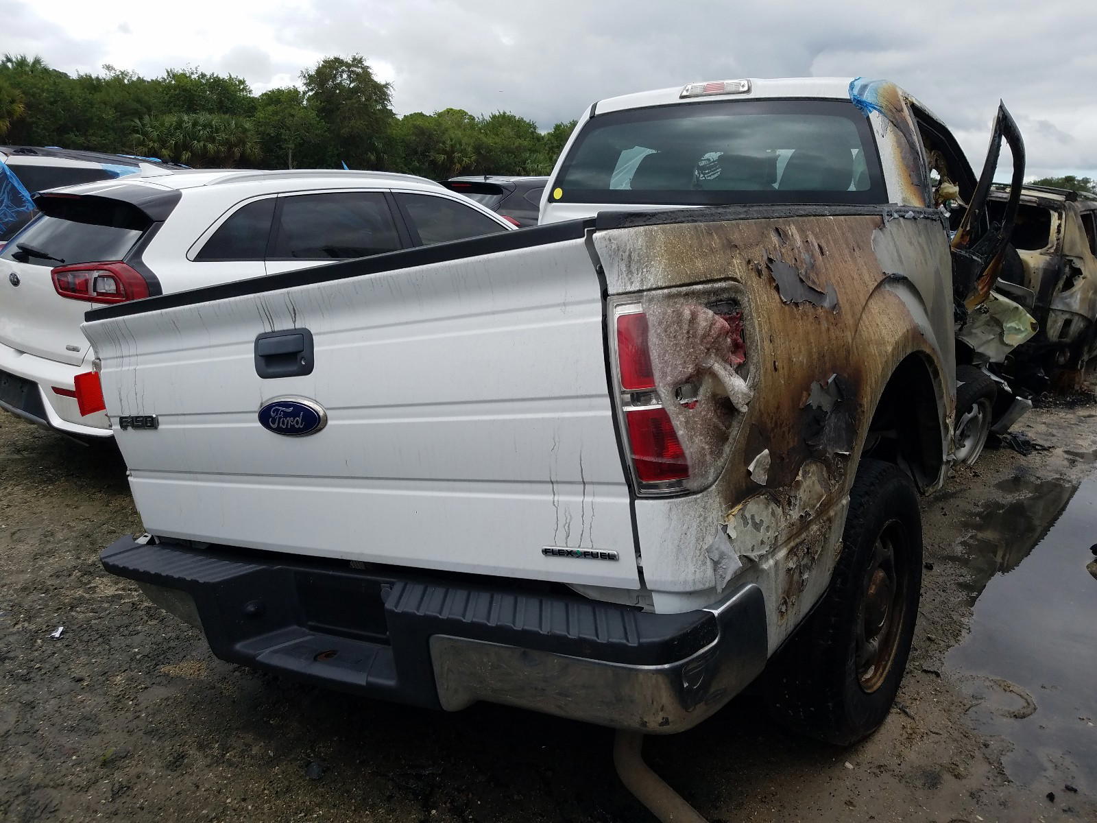Photo 4 from auction – 2012 FORD F150 with VIN 1FTMF1CM2CFA10020