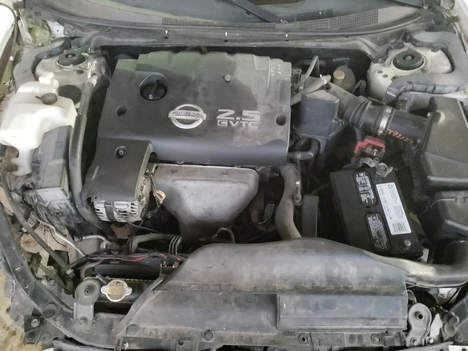 Photo 7 from auction – 2003 NISSAN ALTIMA BAS with VIN 1N4AL11D43C159888