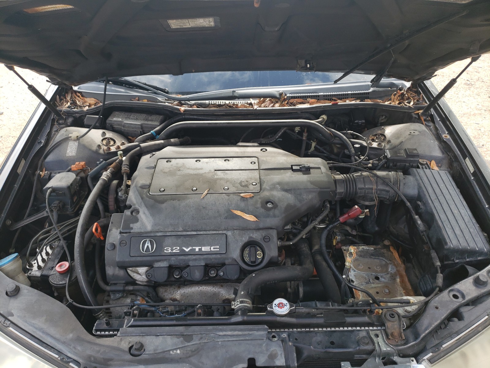 Photo 7 from auction – 2003 ACURA 3.2TL with VIN 19UUA566X3A064151