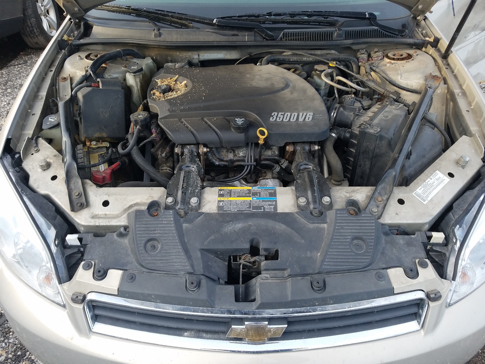 Photo 7 from auction – 2008 CHEVROLET IMPALA LT with VIN 2G1WT58N181374981