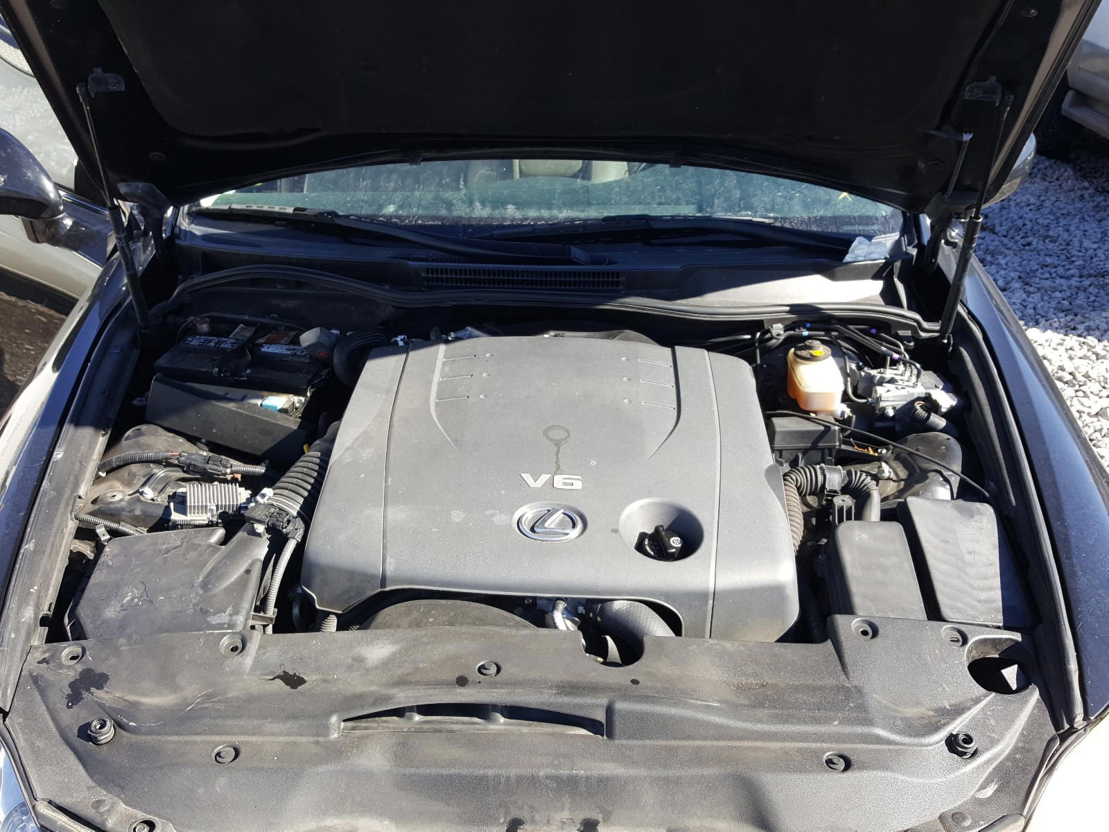 Photo 7 from auction – 2007 LEXUS IS 250 with VIN JTHBK262372027519