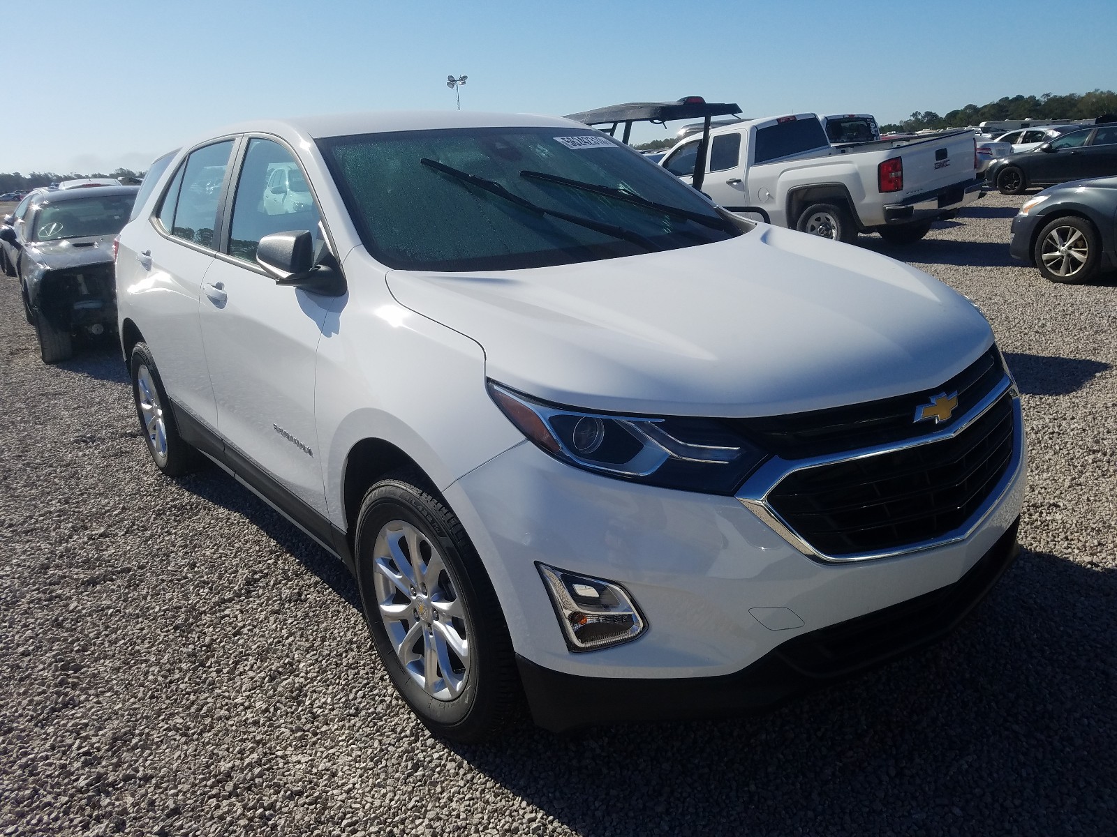 CHEVROLET EQUINOX LS 2020 with VIN 2GNAXSEV6L6189028 - Photo from auction