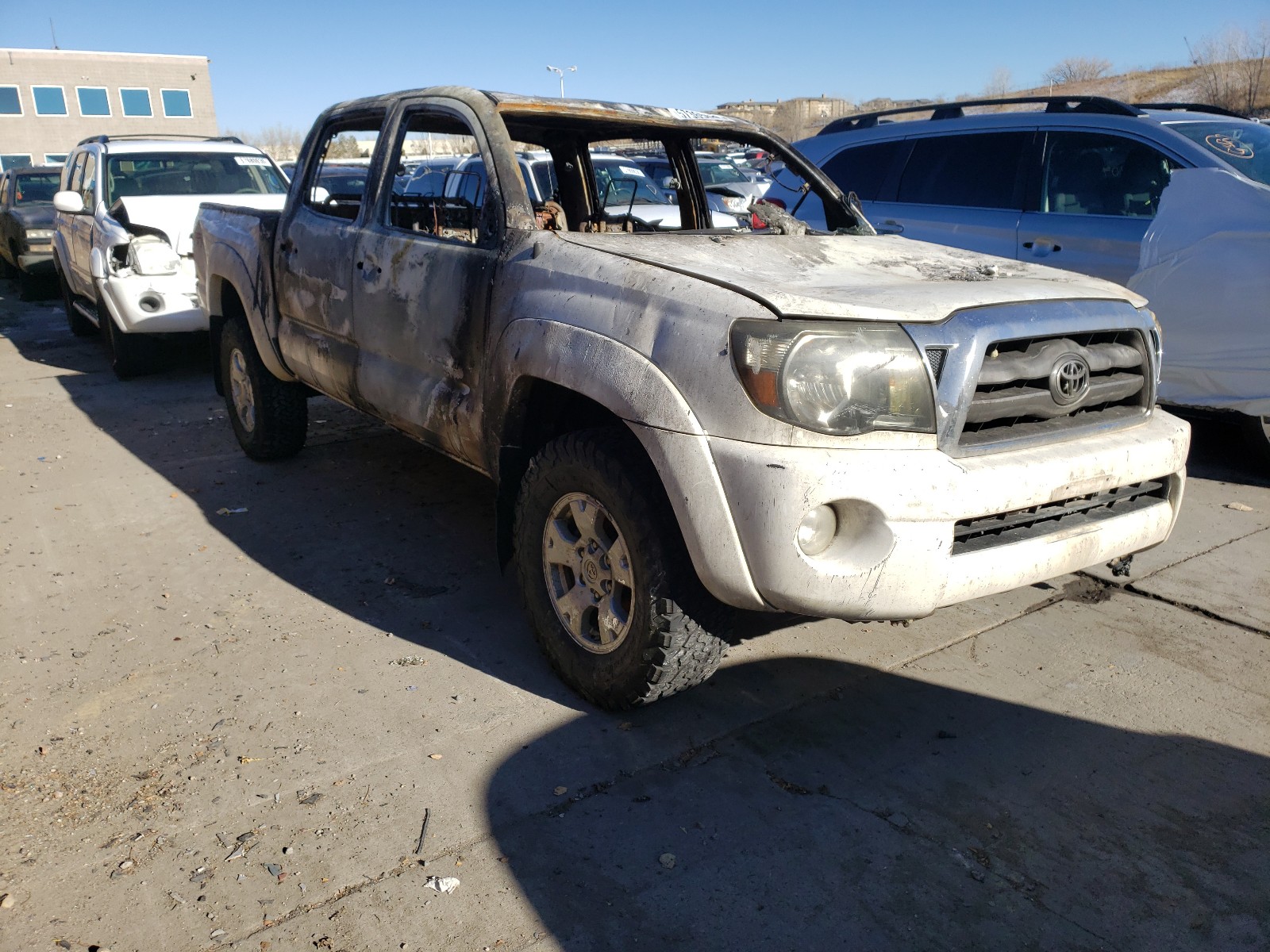 TOYOTA TACOMA DOU 2010 with VIN 3TMLU4EN6AM039302 - Photo from auction