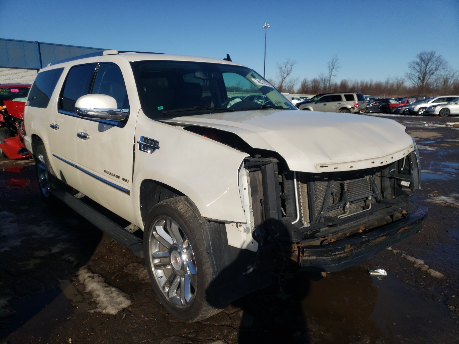 CADILLAC ESCALADE 2010 with VIN 1GYUKKEF4AR266617 - Photo from auction