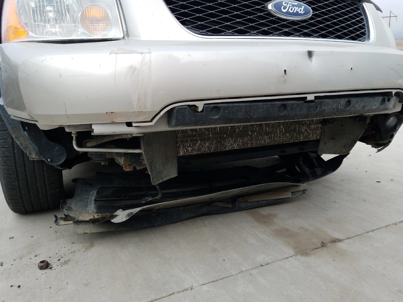 Photo 9 from auction – 2006 FORD FREESTYLE with VIN 1FMDK06196GA34963