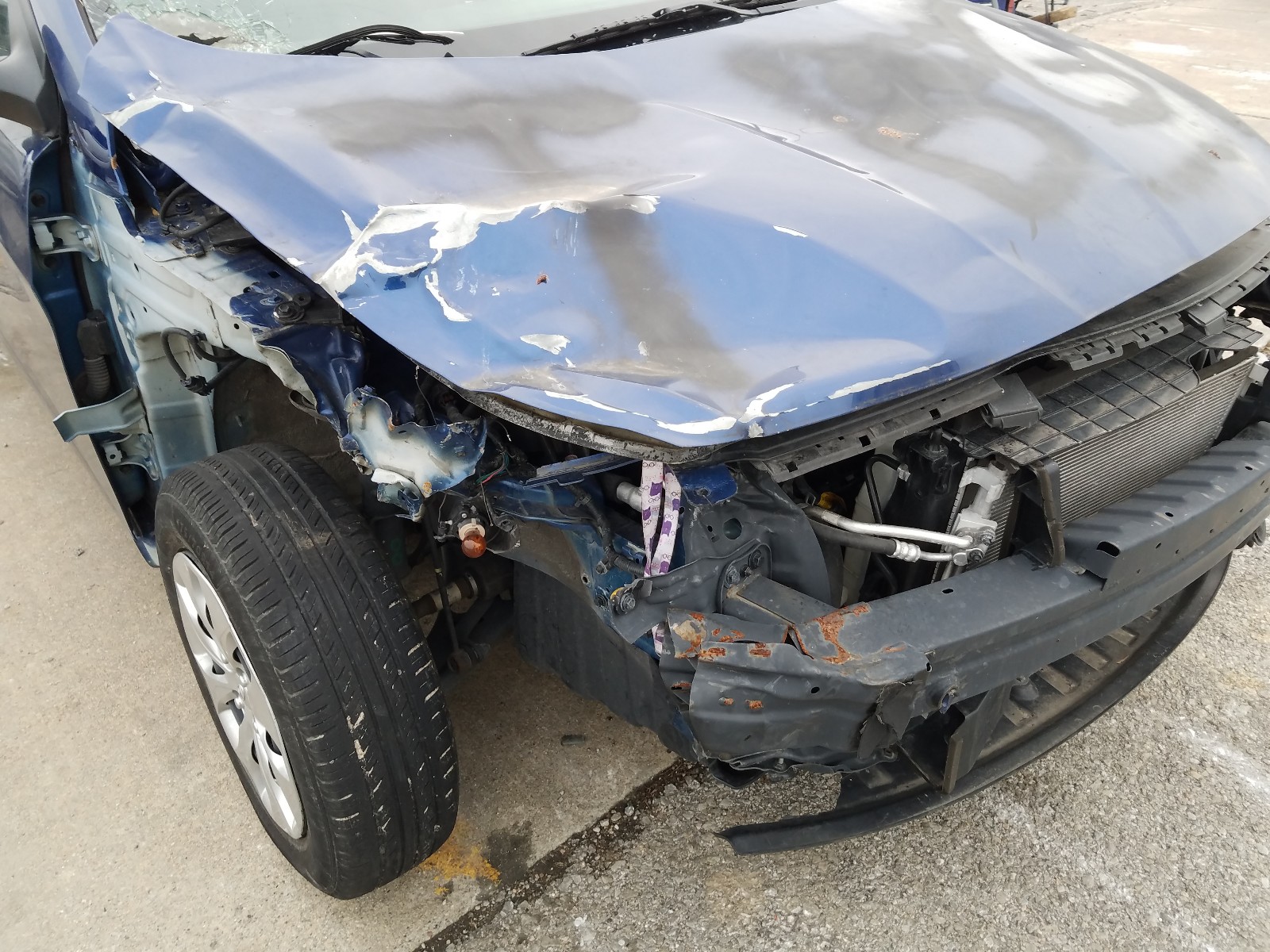 Photo 9 from auction – 2017 HYUNDAI ACCENT SE with VIN KMHCT4AE7HU317313