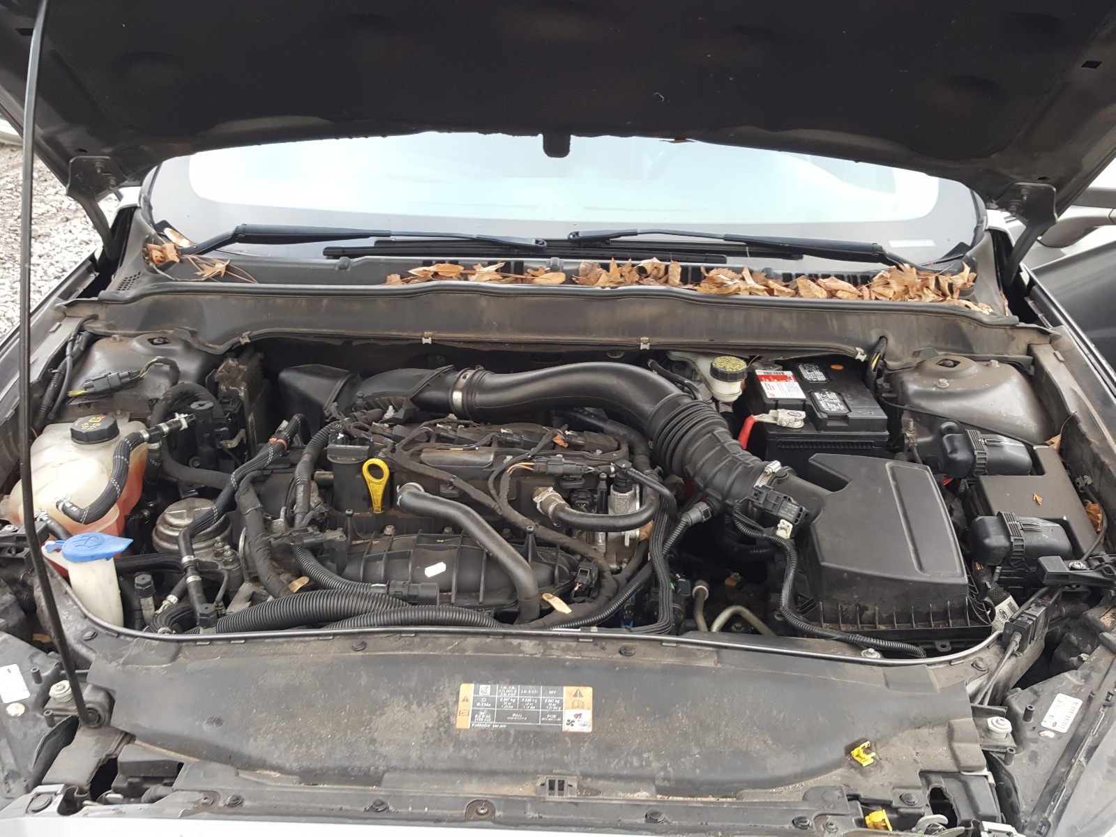 Photo 7 from auction – 2013 FORD FUSION SE with VIN 3FA6P0HR1DR227220