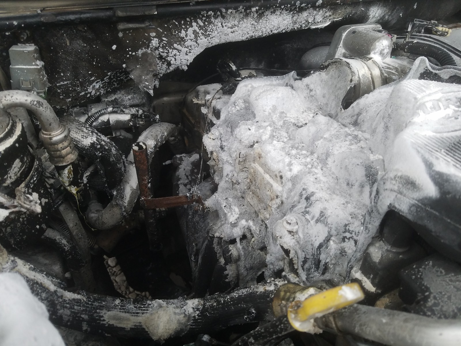Photo 9 from auction – 2005 CHEVROLET TRAILBLAZE with VIN 1GNET16SX56178277