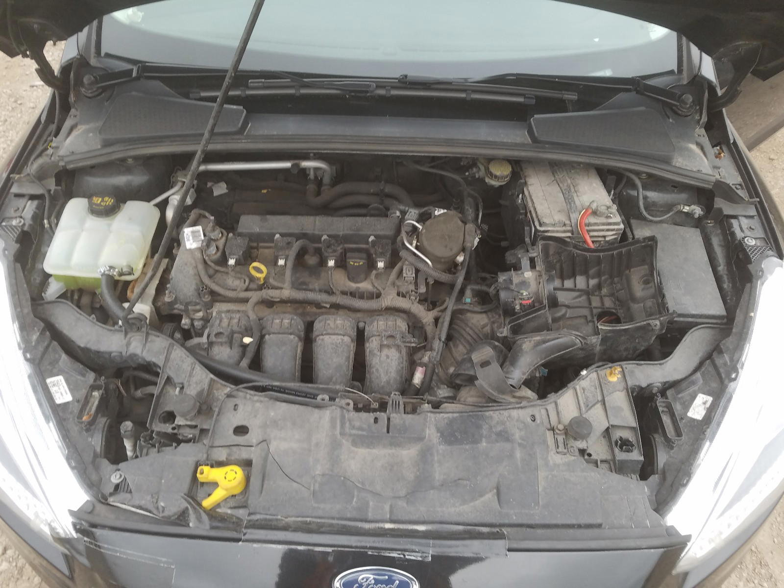 Photo 7 from auction – 2015 FORD FOCUS SE with VIN 1FADP3K2XFL253384