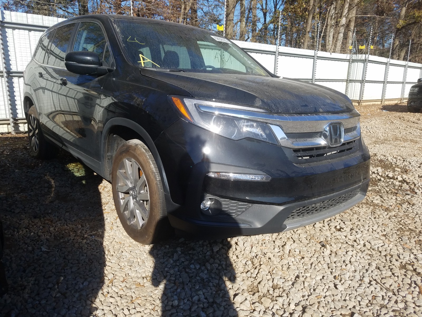 HONDA PILOT EXL 2019 with VIN 5FNYF5H5XKB016337 - Photo from auction