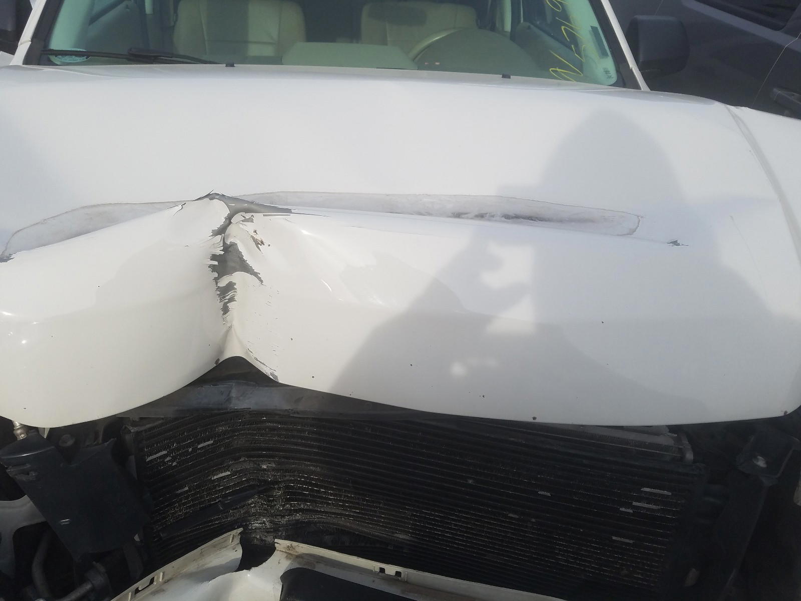 Photo 7 from auction – 2010 FORD ESCAPE XLT with VIN 1FMCU9DG3AKB61179