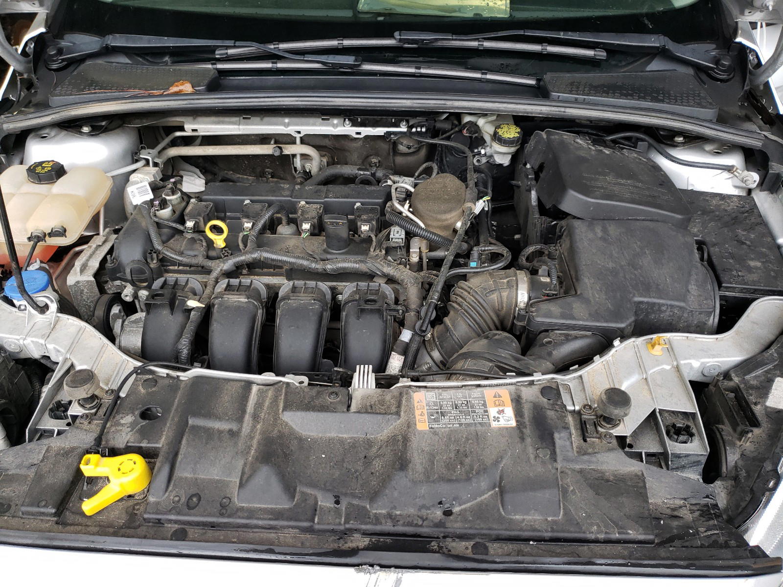 Photo 7 from auction – 2016 FORD FOCUS SE with VIN 1FADP3F26GL291349