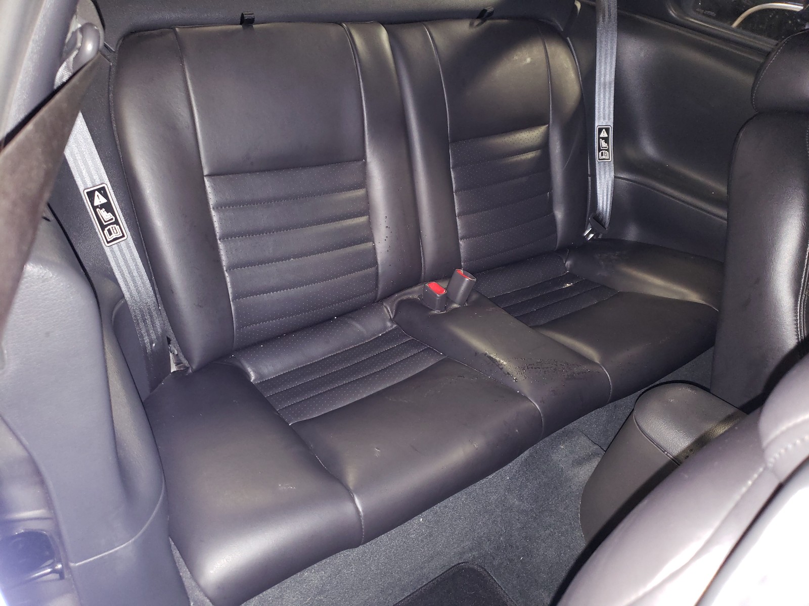 Photo 6 from auction – 2002 FORD MUSTANG GT with VIN 1FAFP42X42F190480