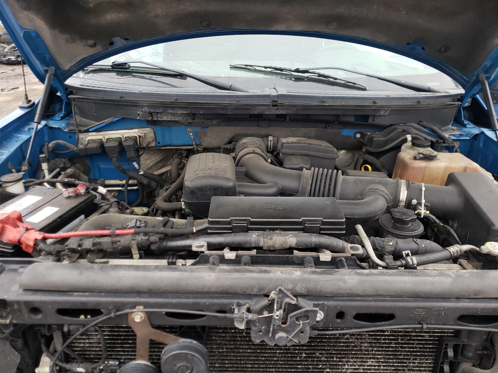 Photo 7 from auction – 2010 FORD F150 SUPER with VIN 1FTFW1EV8AFA99264