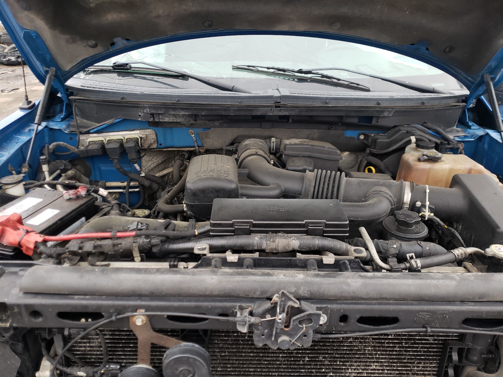 Zdjęcie 7 z aukcji – 2010 FORD F150 SUPER z VIN 1FTFW1EV8AFA99264