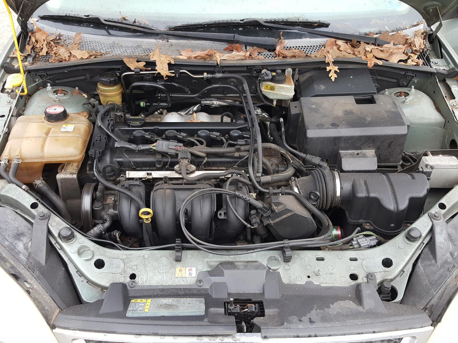 Photo 7 from auction – 2005 FORD FOCUS with VIN 1FAFP34N65W163999