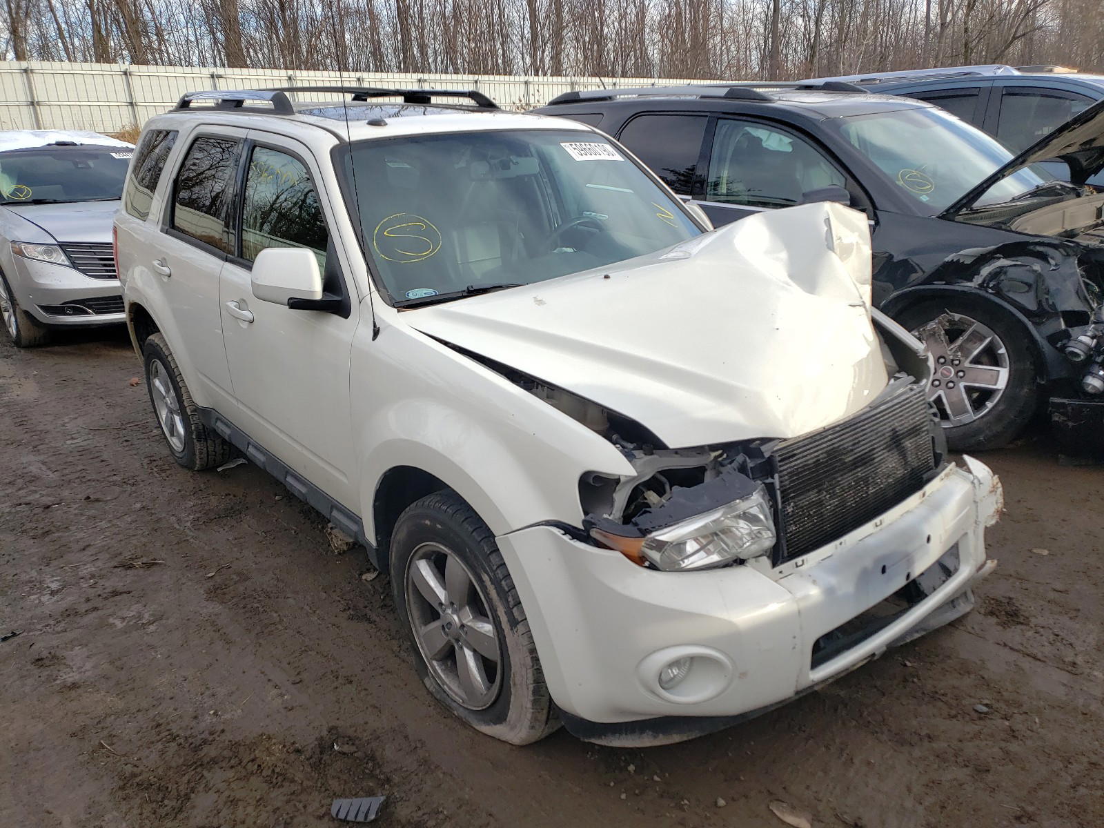FORD ESCAPE LIM 2010 with VIN 1FMCU0EG0AKD18841 - Photo from auction