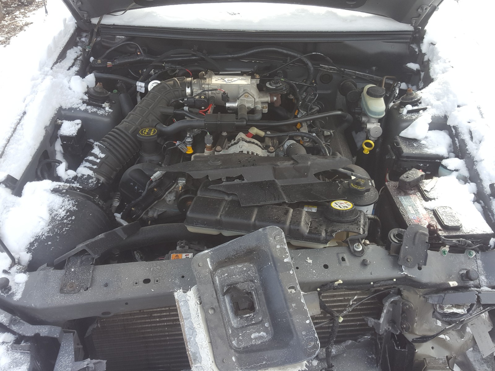 Photo 7 from auction – 2002 FORD MUSTANG GT with VIN 1FAFP42X42F190480