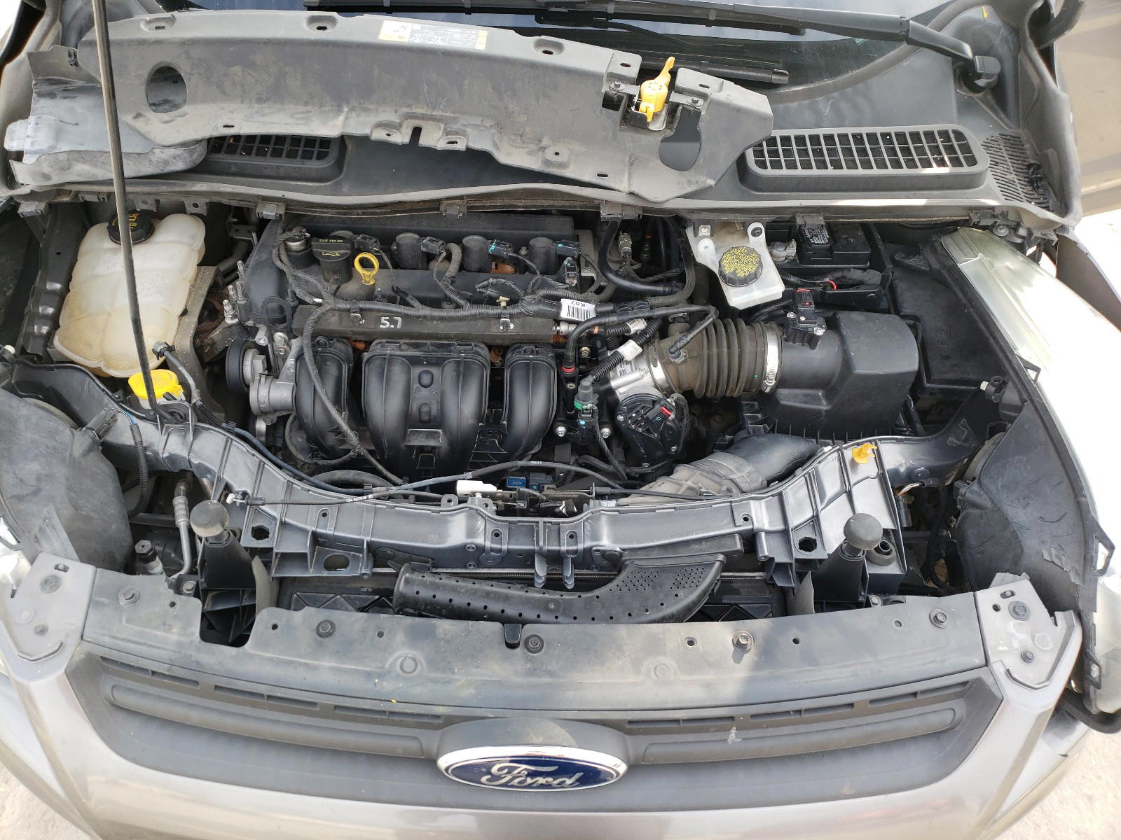 Photo 7 from auction – 2014 FORD ESCAPE S with VIN 1FMCU0F73EUE38674