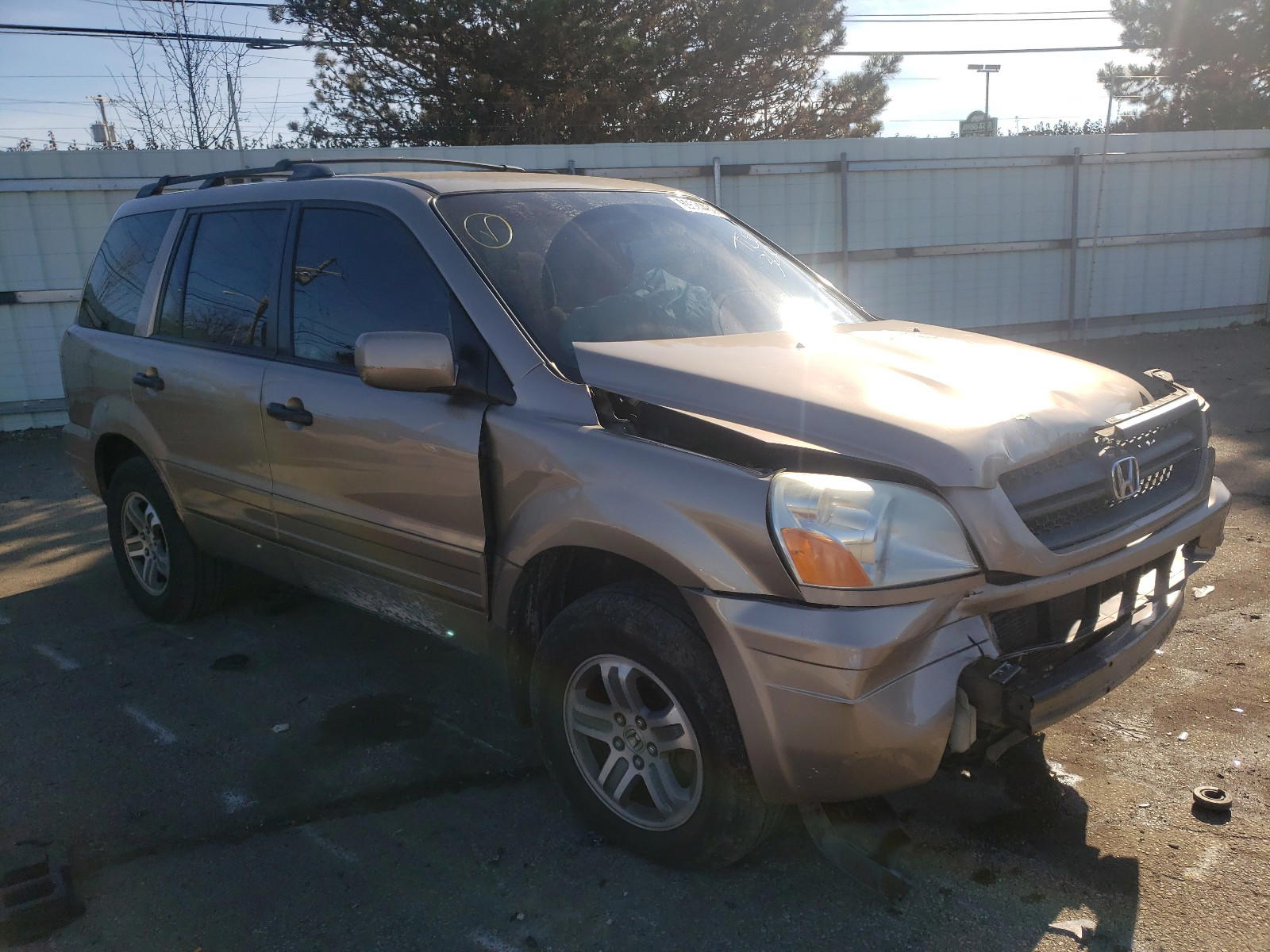 HONDA PILOT EX 2003 with VIN 2HKYF18423H536728 - Photo from auction
