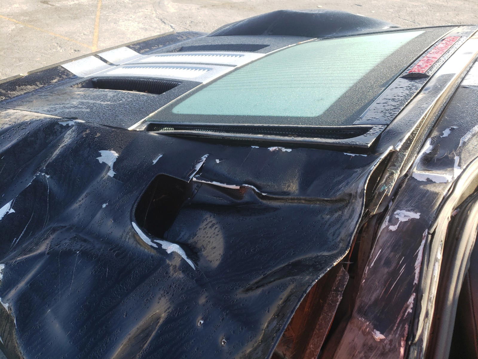 Photo 6 from auction – 2006 FORD GT with VIN 1FAFP90S06Y401804