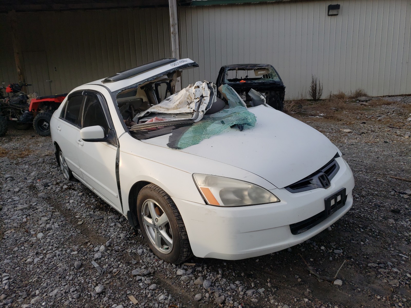 HONDA ACCORD EX 2003 with VIN JHMCM56683C005328 - Photo from auction