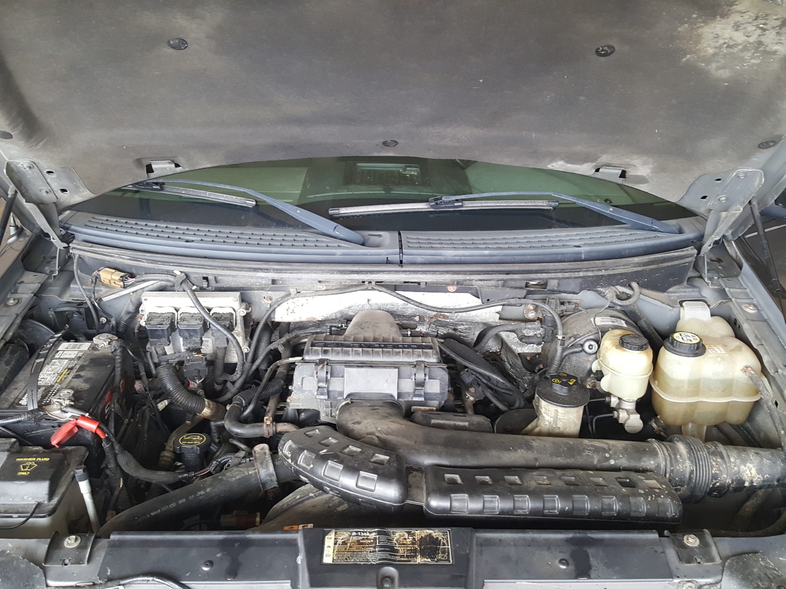 Фото 7 с аукциона – 2008 FORD F150 с VIN 1FTPX14VX8FA28502