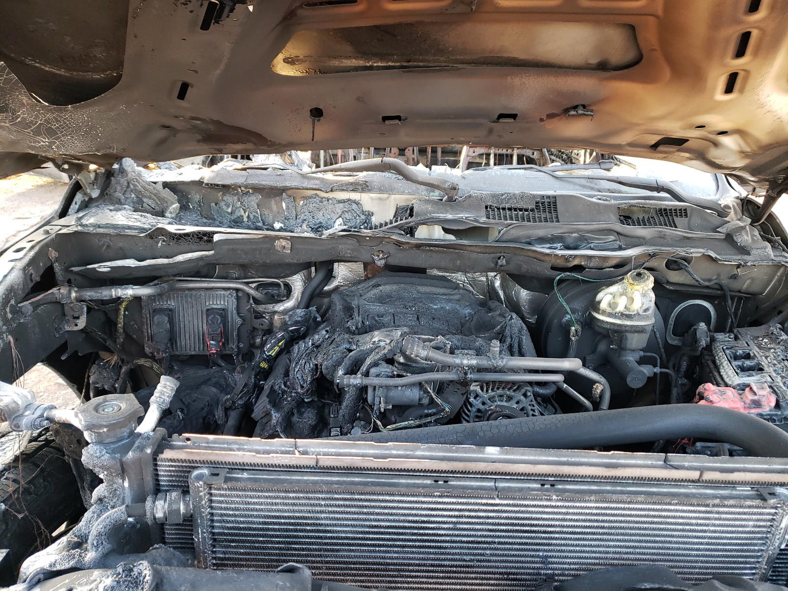 Photo 7 from auction – 2019 RAM 1500 CLASS with VIN 1C6RR7LT4KS557553