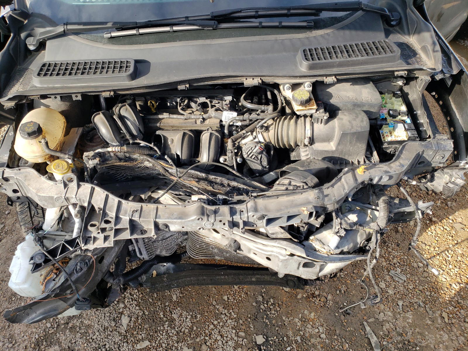 Photo 7 from auction – 2017 FORD ESCAPE S with VIN 1FMCU0F79HUC49628
