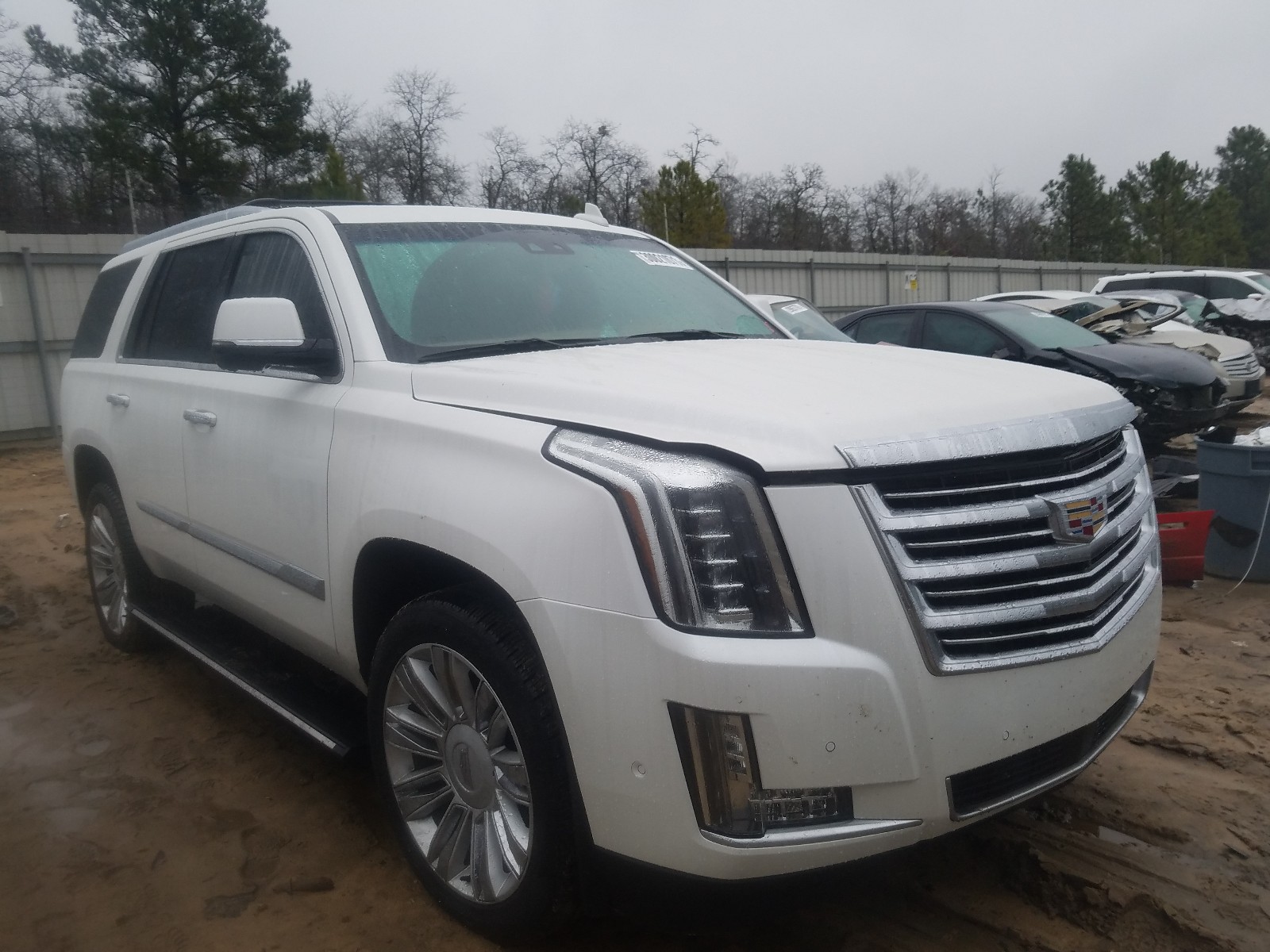 CADILLAC ESCALADE P 2017 with VIN 1GYS4BKJ0HR372597 - Photo from auction