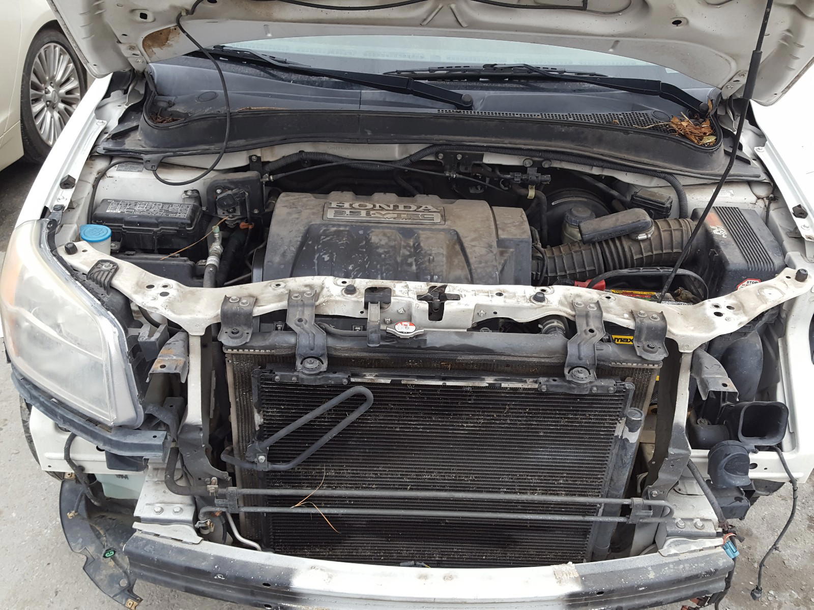 Photo 7 from auction – 2008 HONDA PILOT EXL with VIN 5FNYF28768B013055