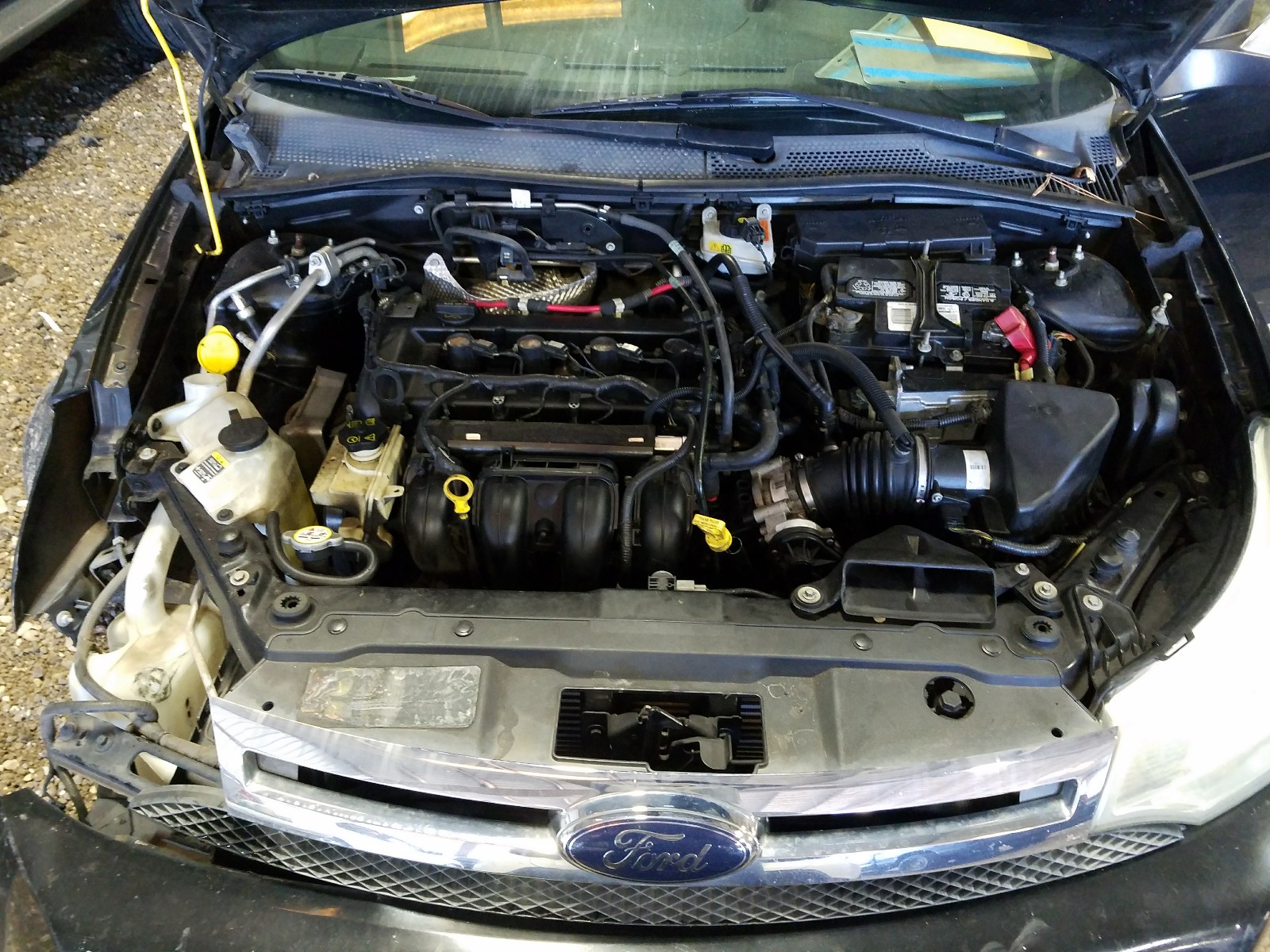Photo 7 from auction – 2010 FORD FOCUS SEL with VIN 1FAHP3HN3AW225453