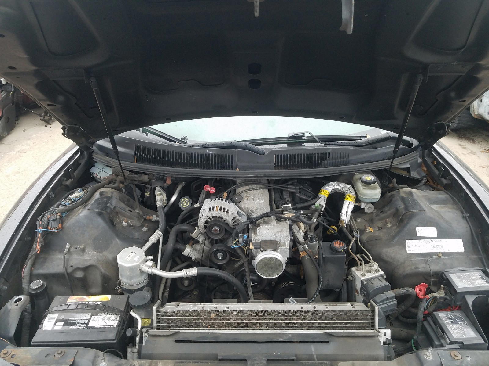Photo 7 from auction – 2002 PONTIAC FIREBIRD with VIN 2G2FS22K122124458