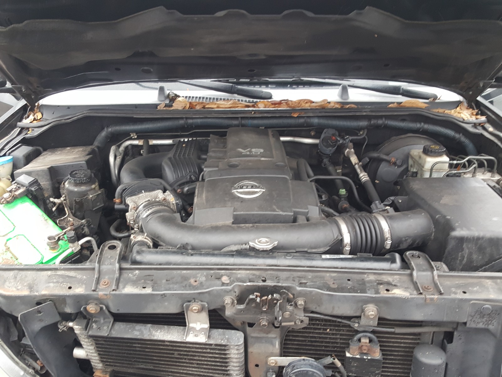 Photo 7 from auction – 2005 NISSAN PATHFINDER with VIN 5N1AR18W85C785653