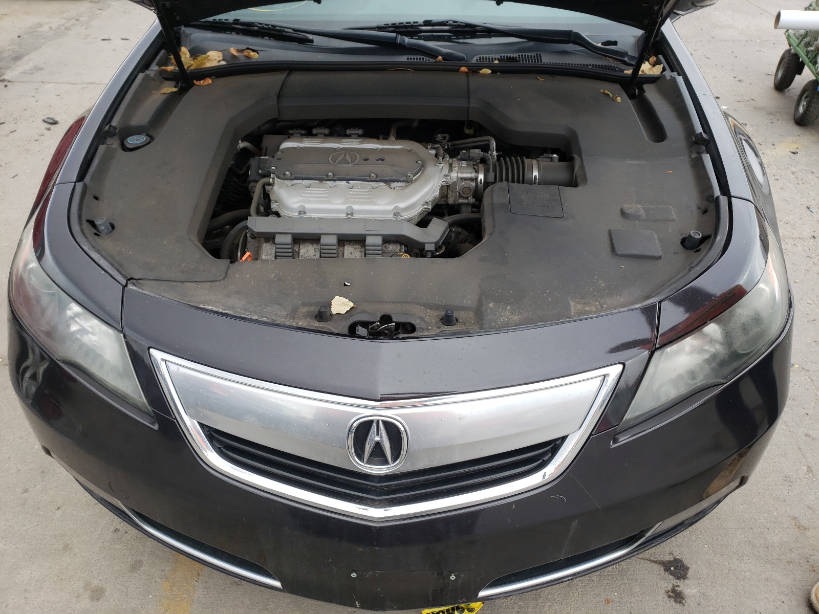 Photo 7 from auction – 2013 ACURA TL with VIN 19UUA8F21DA005876