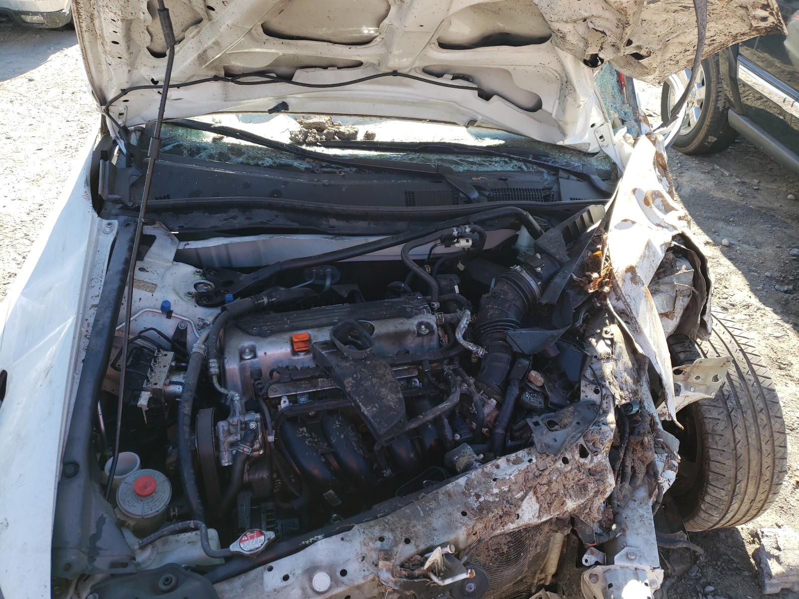 Photo 7 from auction – 2011 HONDA ACCORD EXL with VIN 1HGCP2F85BA125818
