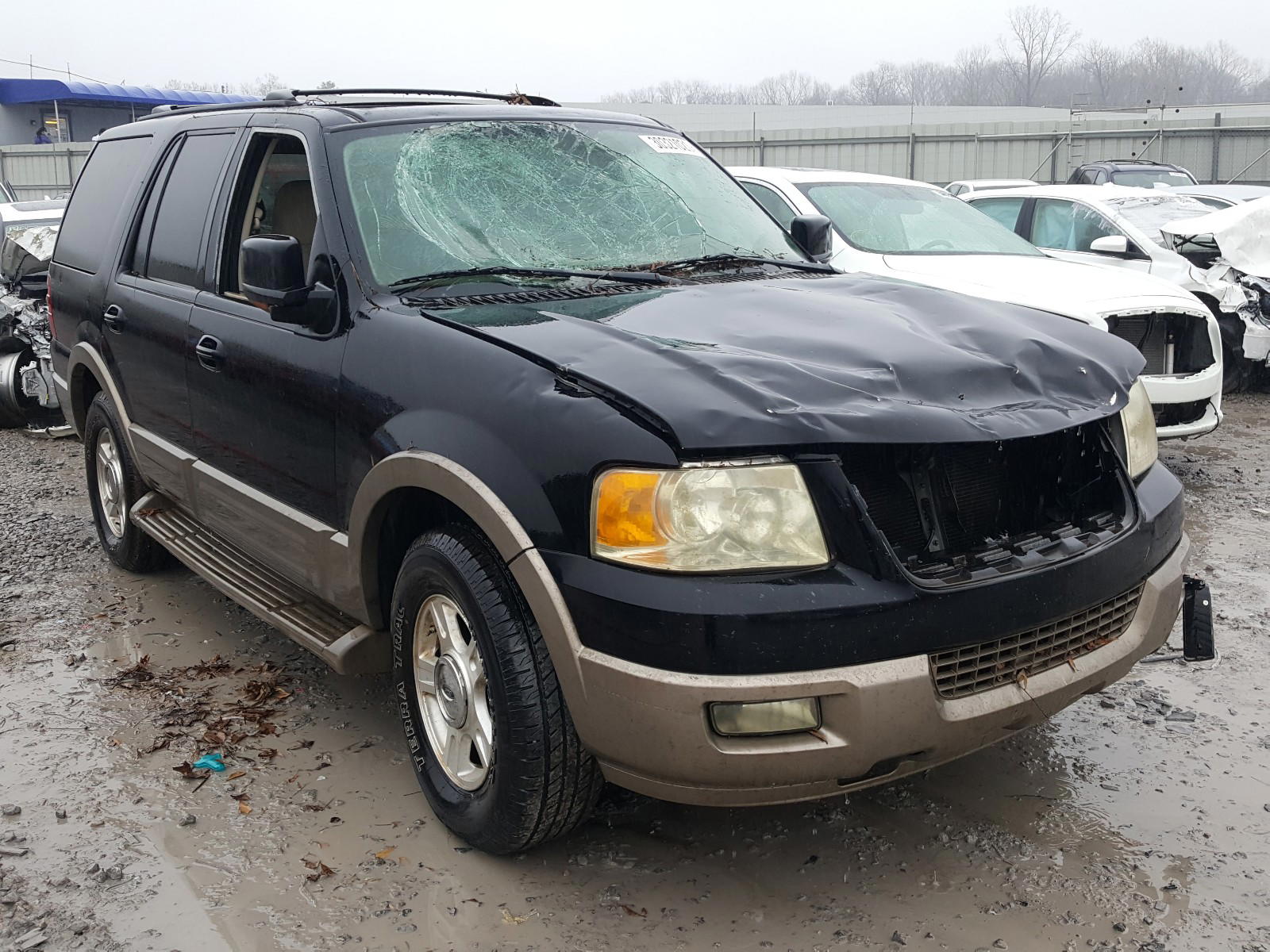 FORD EXPEDITION 2004 with VIN 1FMFU17L34LA69026 - Photo from auction