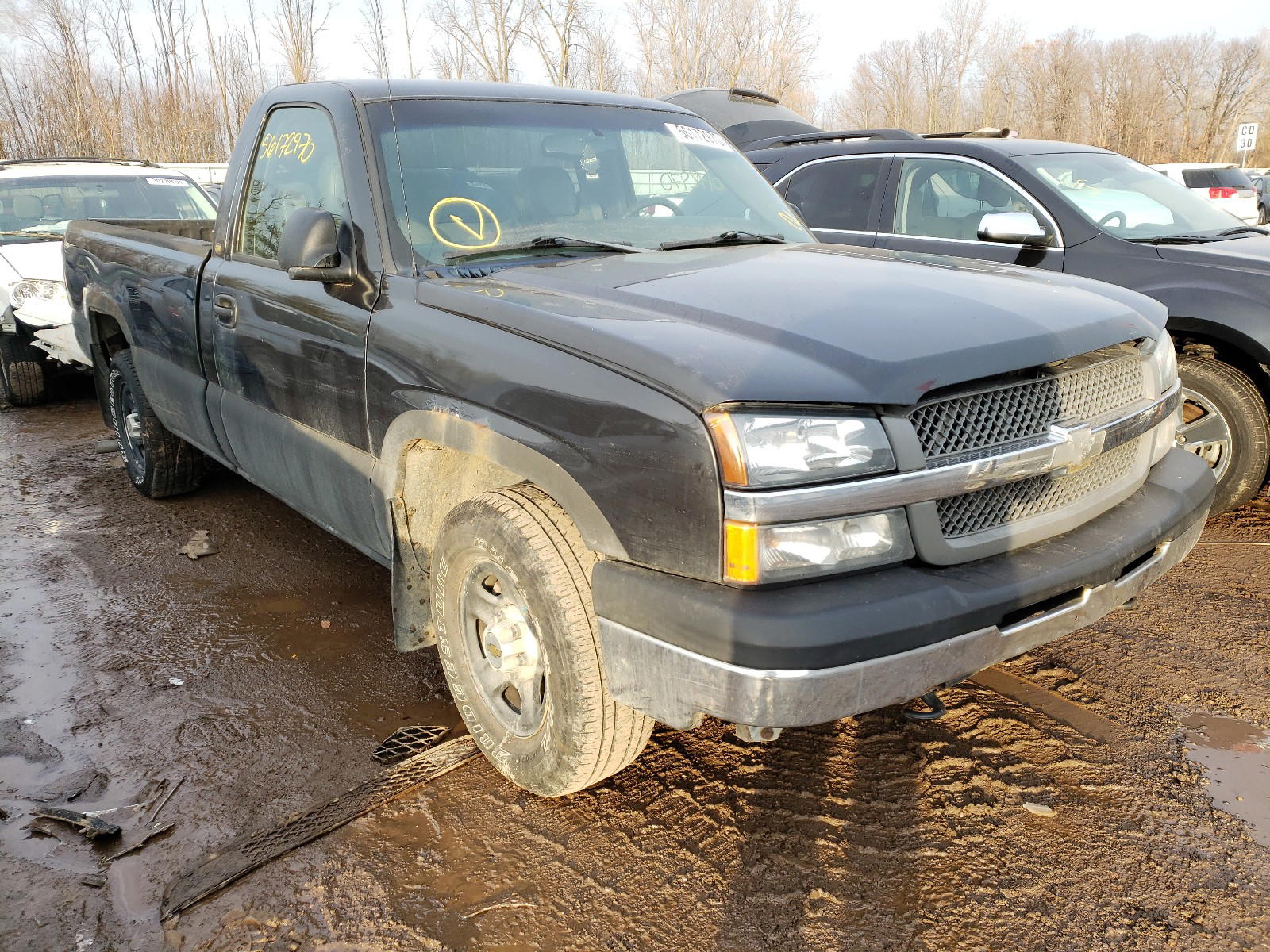 CHEVROLET SILVERADO 2004 with VIN 1GCEC14V84E112594 - Photo from auction