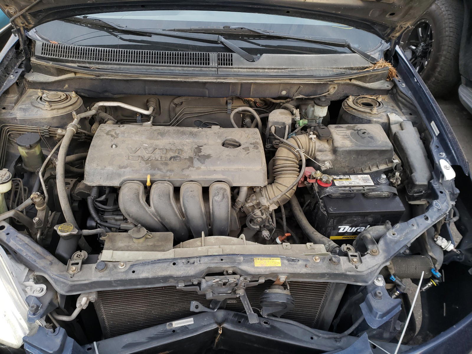 Photo 7 from auction – 2003 TOYOTA COROLLA MA with VIN 2T1KR32E03C095257