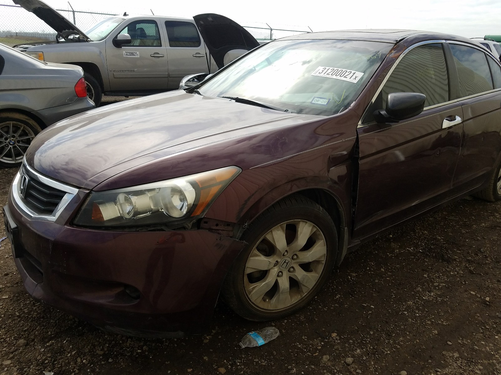 Photo 9 from auction – 2010 HONDA ACCORD EXL with VIN 5KBCP3F84AB015869