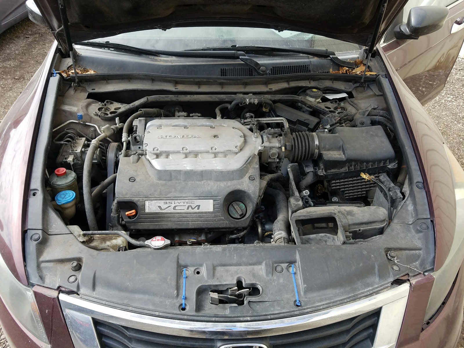 Photo 7 from auction – 2010 HONDA ACCORD EXL with VIN 5KBCP3F84AB015869