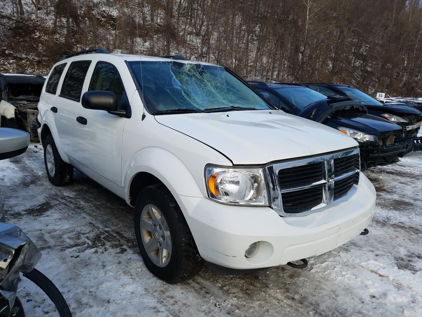 DODGE DURANGO SE 2009 with VIN 1D8HB38P39F712546 - Photo from auction