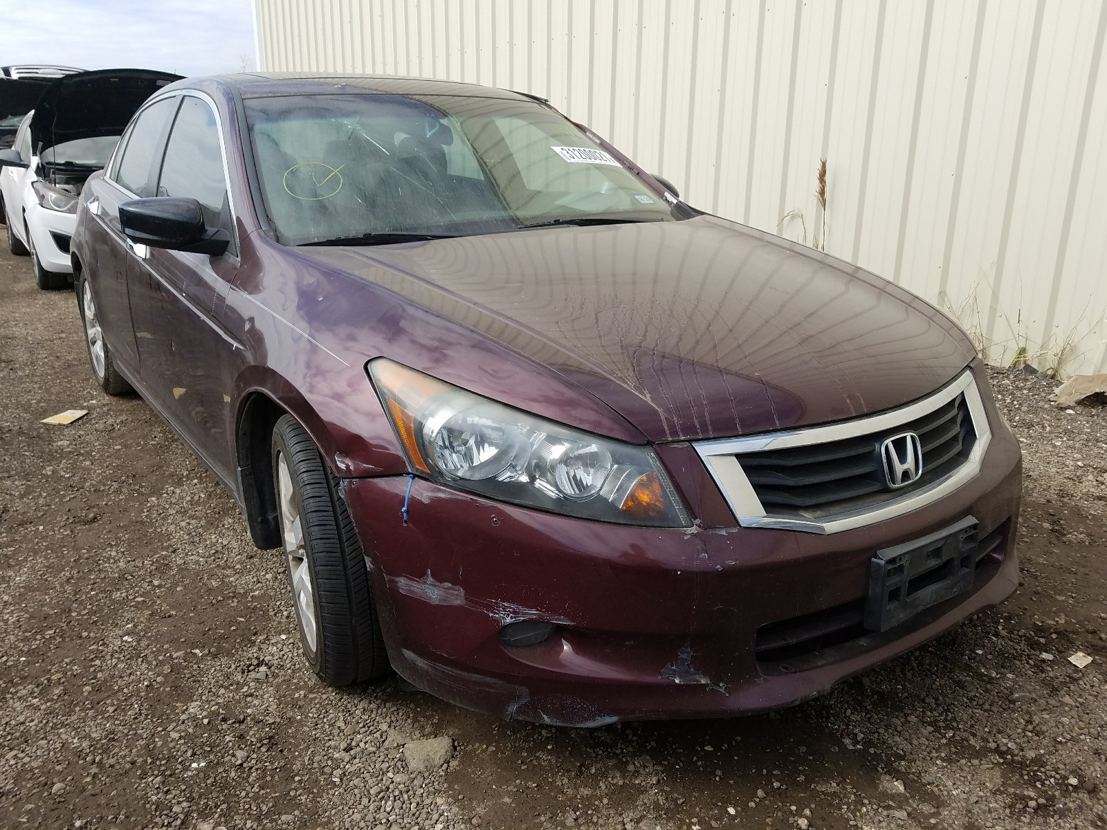 HONDA ACCORD EXL 2010 with VIN 5KBCP3F84AB015869 - Photo from auction