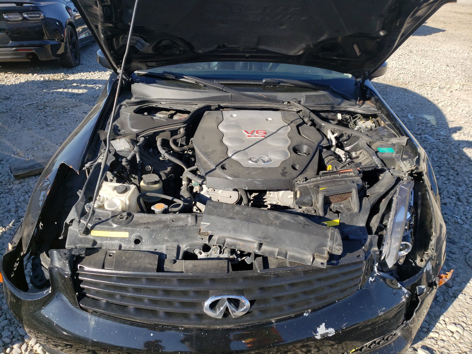 Photo 7 from auction – 2004 INFINITI G35 with VIN JNKCV54EX4M804353