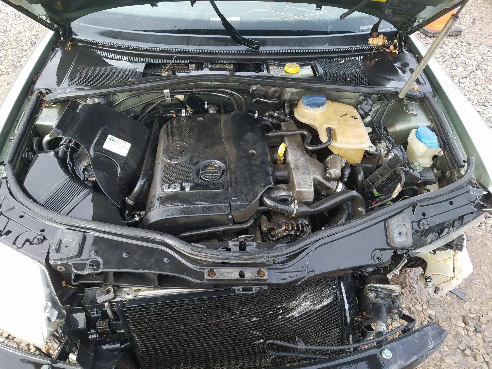 Photo 7 from auction – 2004 VOLKSWAGEN PASSAT GLS with VIN WVWVD63B34E087038